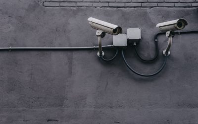 Help your organization solve the privacy paradox