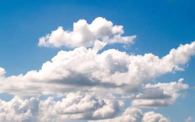 Top B2B executives must find and defend their market ‘white spaces’