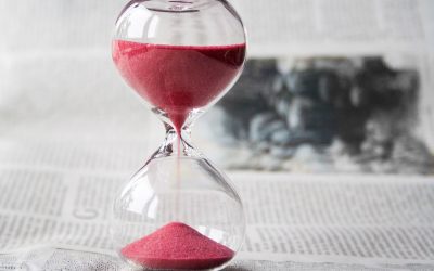 To thrive, business publishers must pivot from being ‘nice to have’ to being ‘essential’
