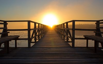 Don’t wait for a disruption to rethink your vision and mission statements