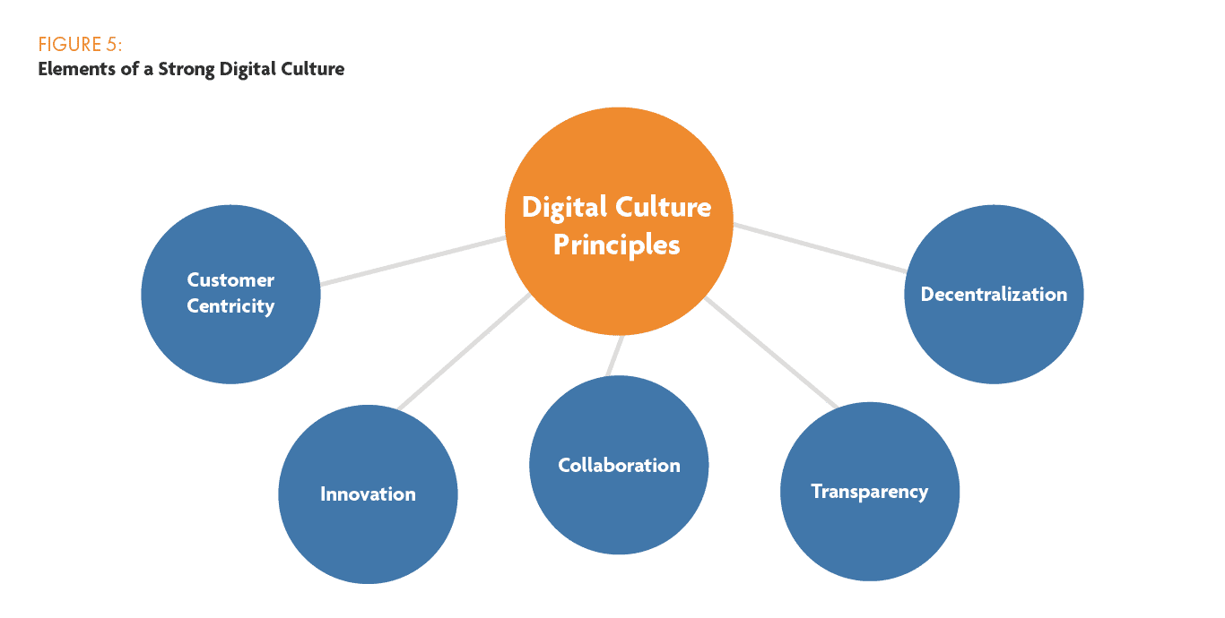 elements of a strong digital culture